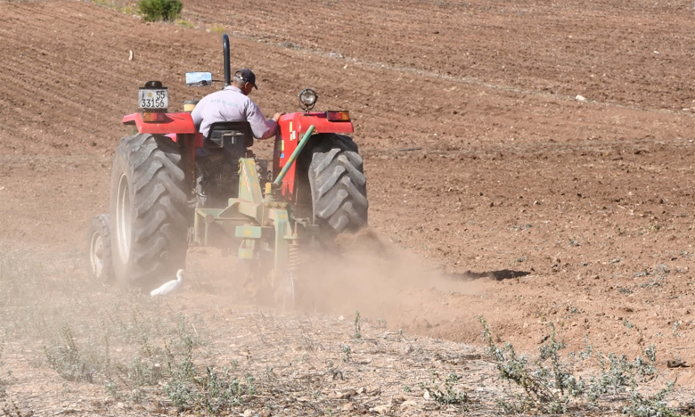 Campagne agricole 2026/2027: La prochaine saison bénéficie de conditions favorables pour le démarrage